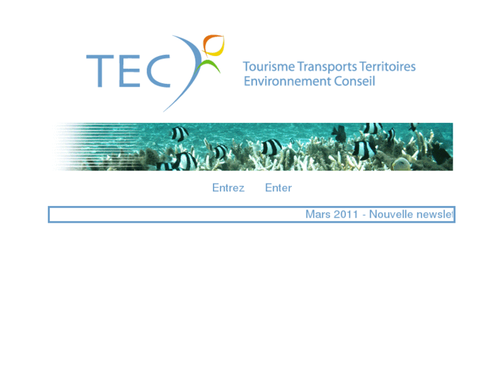 www.tec-conseil.com