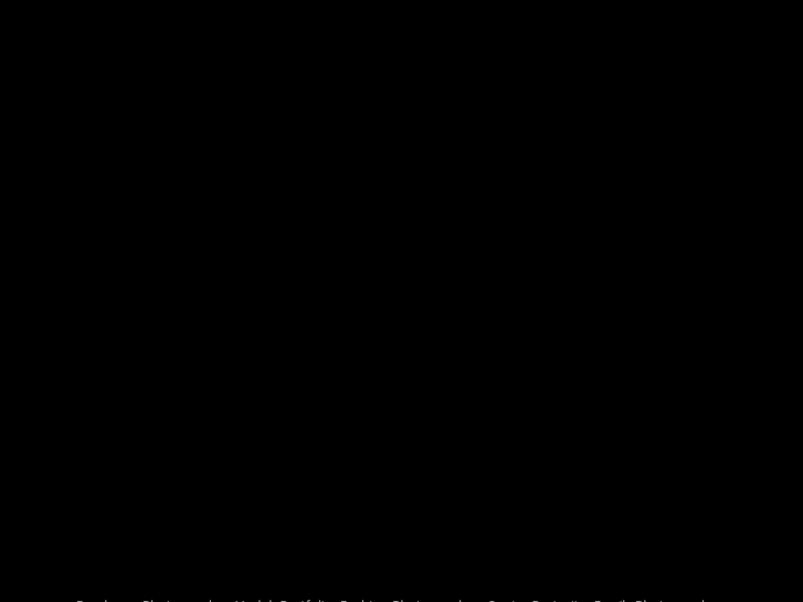 www.brockmanphoto.com