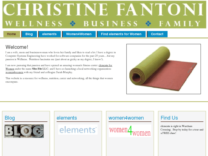 www.christinefantoni.com