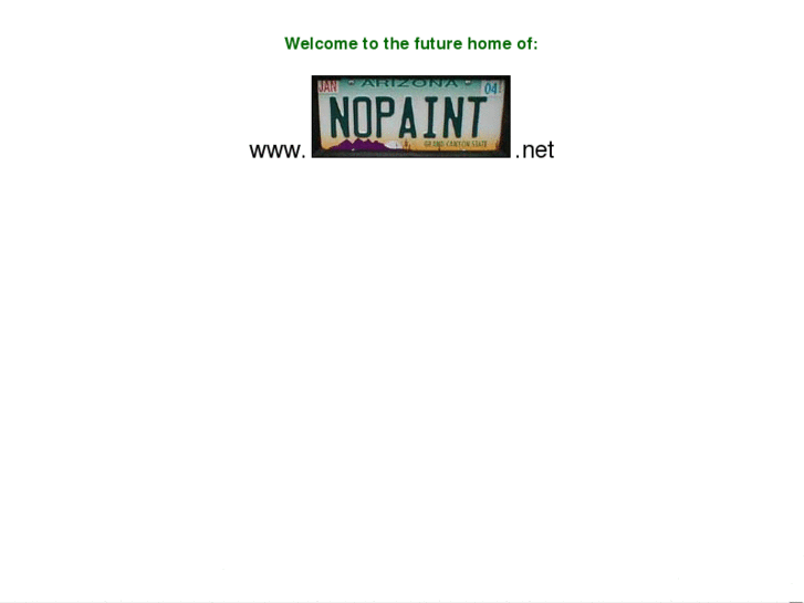 www.nopaint.net