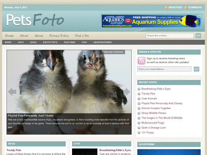 www.petsfoto.com