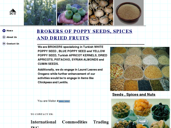 www.spicebrokerage.com