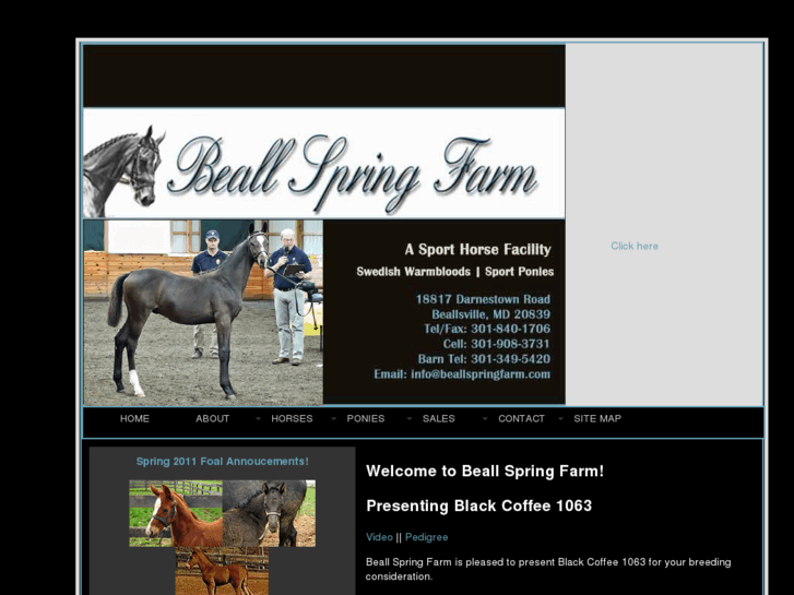 www.beallspringfarm.com