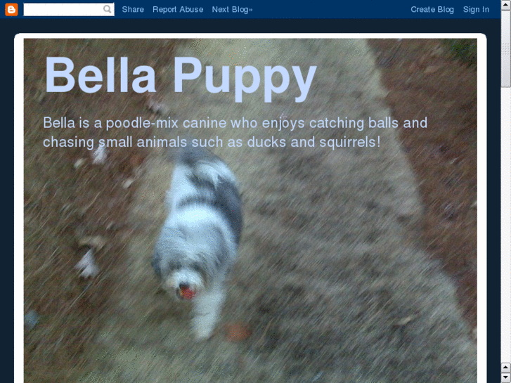 www.bellapuppy.com