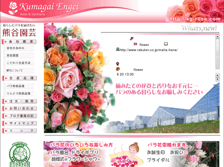 www.kg-rose.com