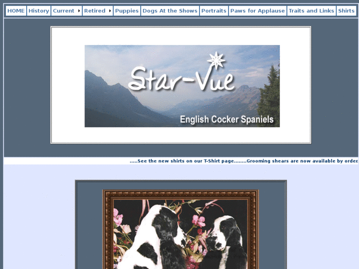 www.star-vue.net