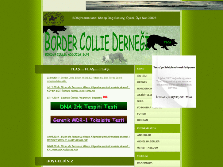 www.border-collie-dernegi.org