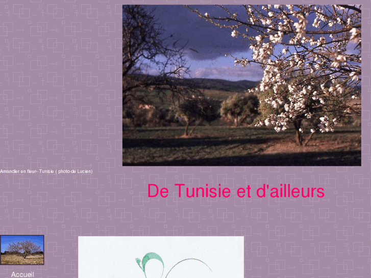 www.de-tunisie-et-ailleurs.com