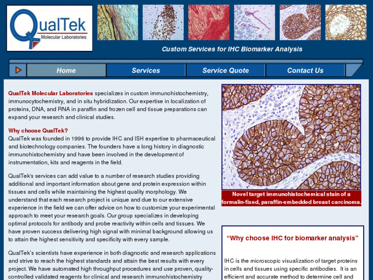 www.immunohistochemistry.net