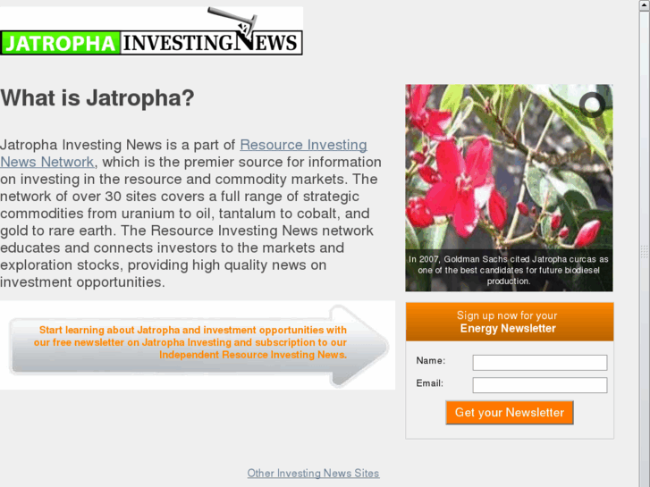 www.jatrophainvestingnews.com