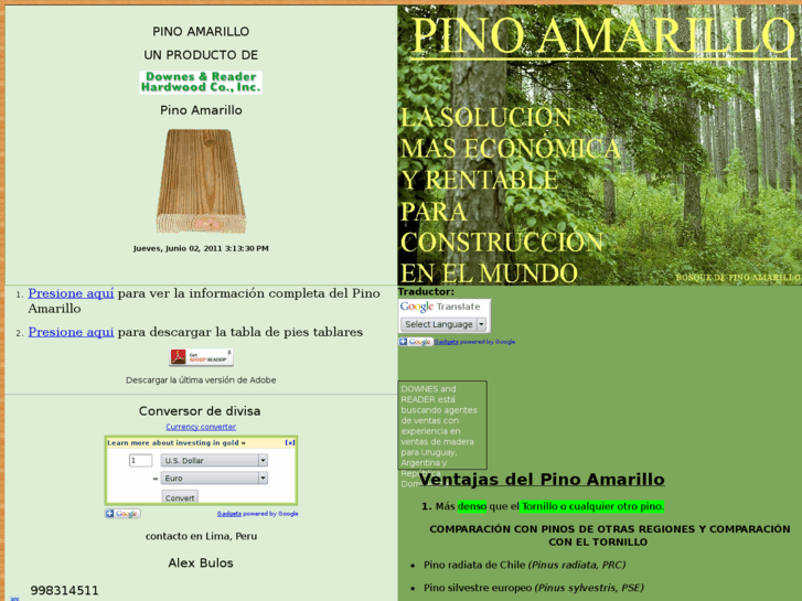 www.pinoamarillo.com