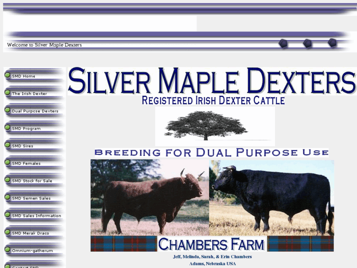 www.silvermapledexters.com