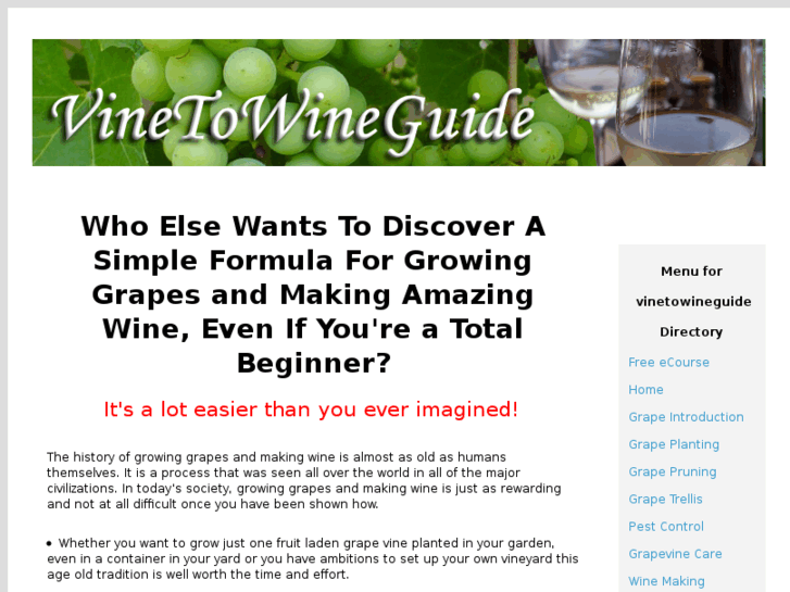 www.vinetowineguide.com