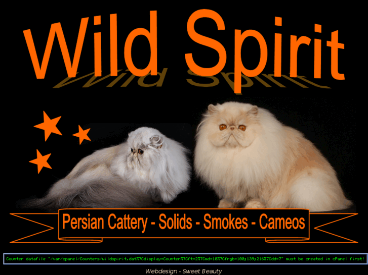 www.wildspiritcattery.com