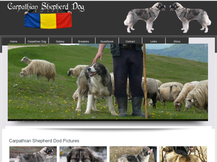 www.carpathiandog.info