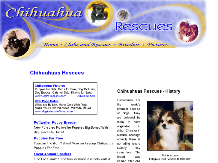 www.chihuahua-rescues.com