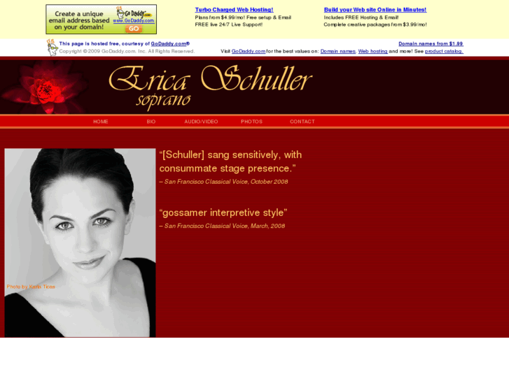 www.ericaschuller.com