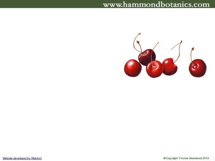 www.hammondbotanics.com