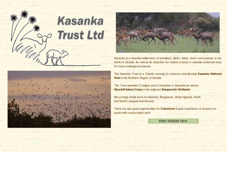 www.kasanka.com