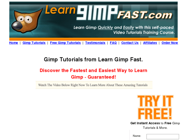 www.learngimpfast.com