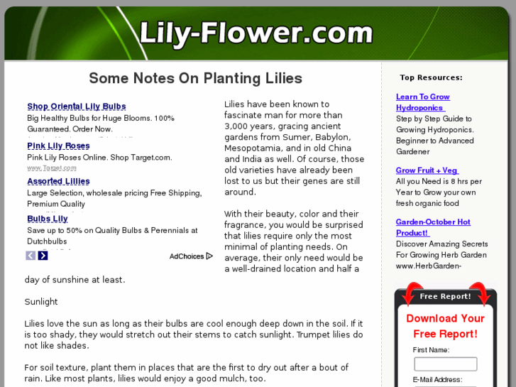 www.lily-flower.com