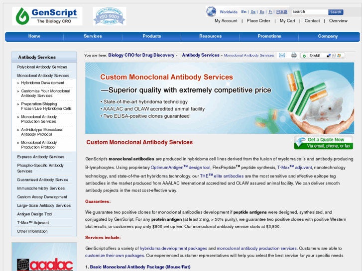 www.monoclonal-antibody.net