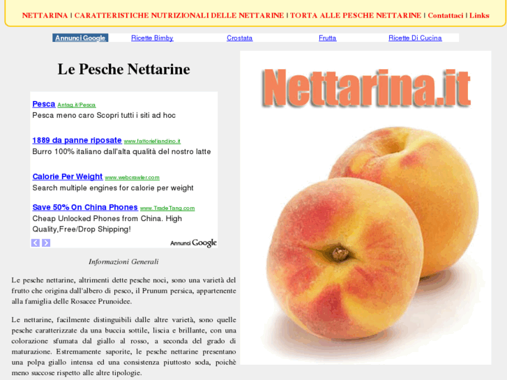 www.nettarina.it