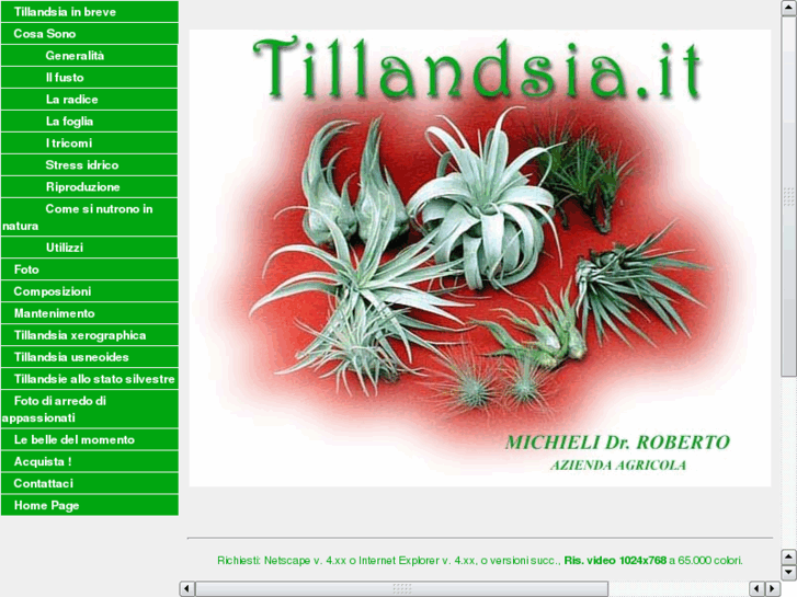 www.tillandsie.net