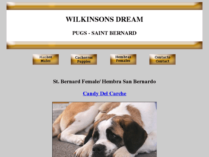 www.wilkinsonsdream.com