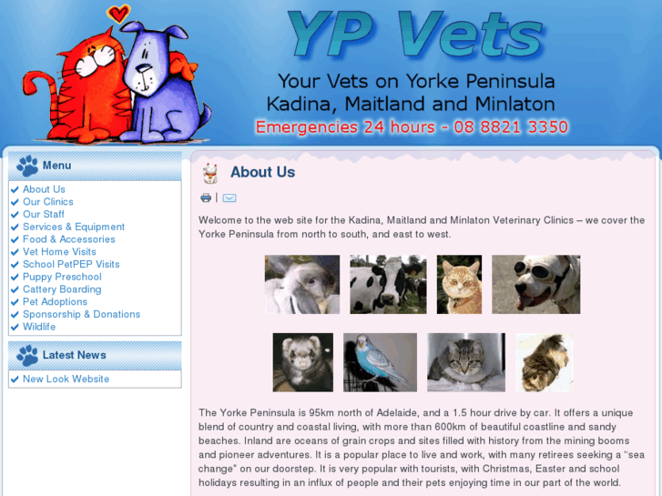 www.ypvets.net