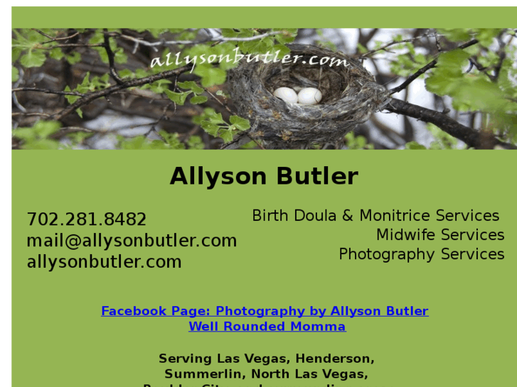 www.allysonbutler.com