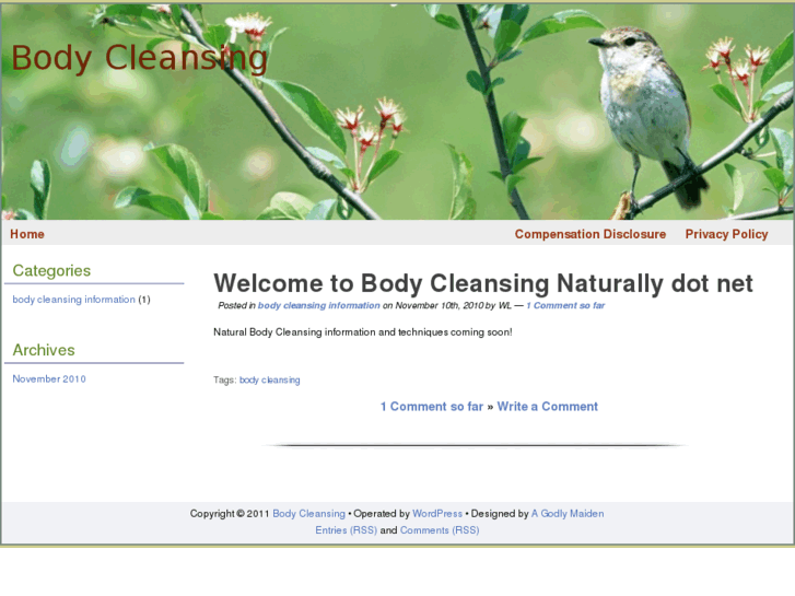 www.body-cleansing-naturally.net