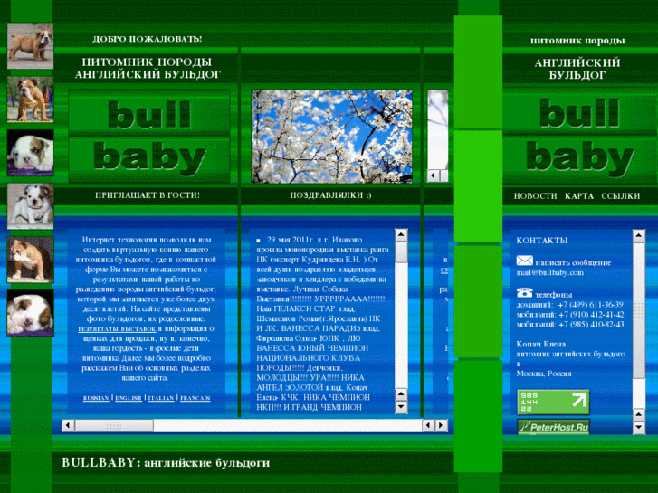 www.bullbaby.com