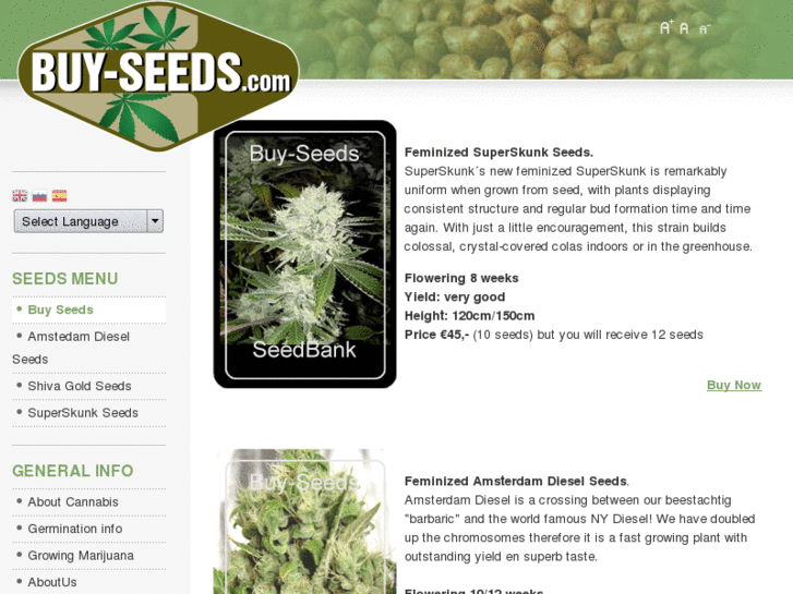 www.buy-seeds.com