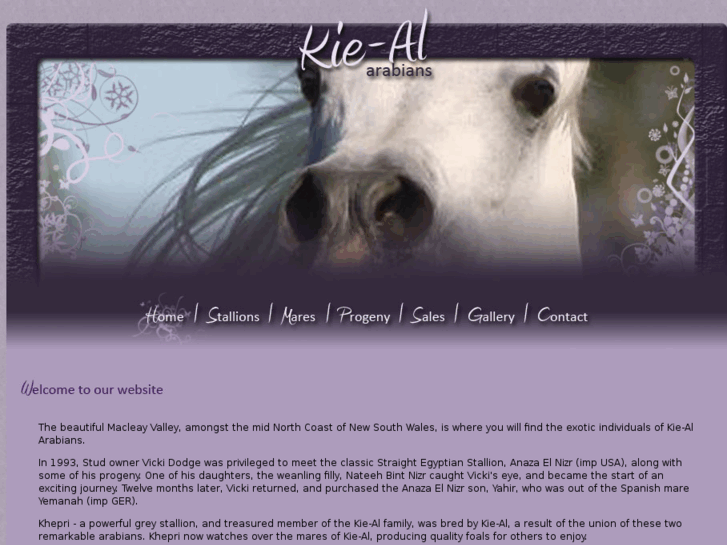 www.kie-alarabians.com