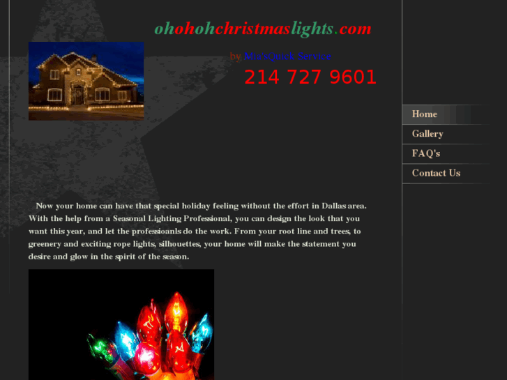 www.ohohohchristmaslights.com