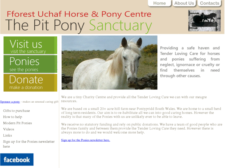 www.pitponies.co.uk