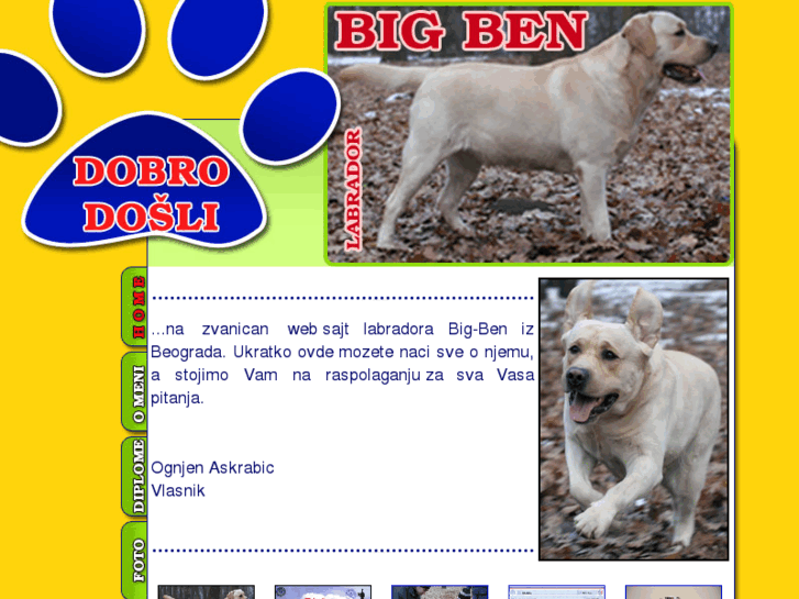 www.bigben-labrador.info