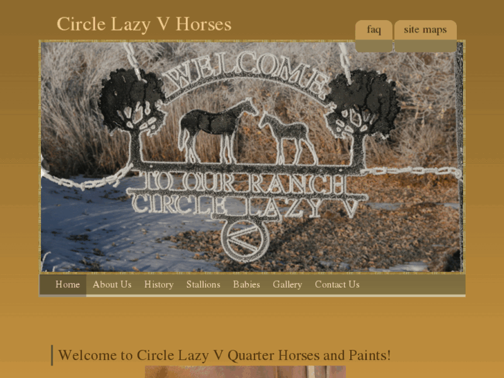 www.circlelazyvhorses.com
