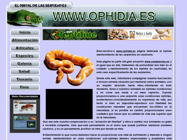 www.ophidia.es