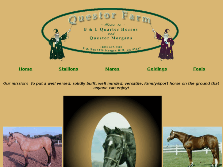 www.questormorgans.net