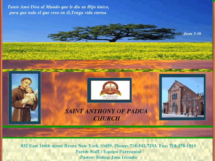 www.stanthony832.com