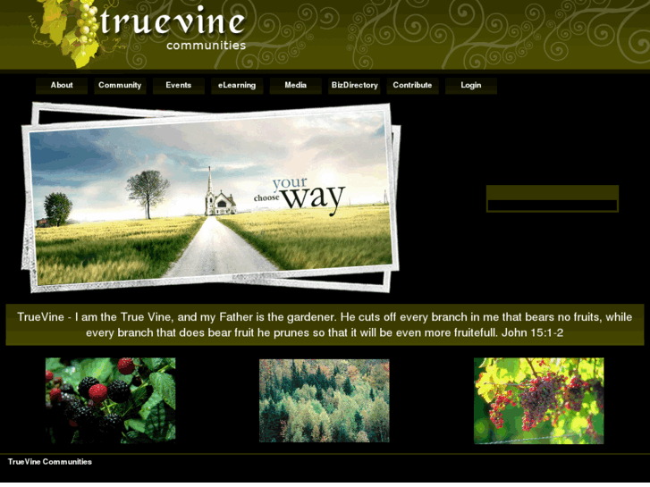 www.truevinecommunities.org