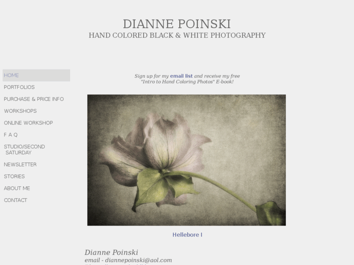 www.diannepoinski.com