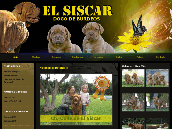 www.elsiscar.net