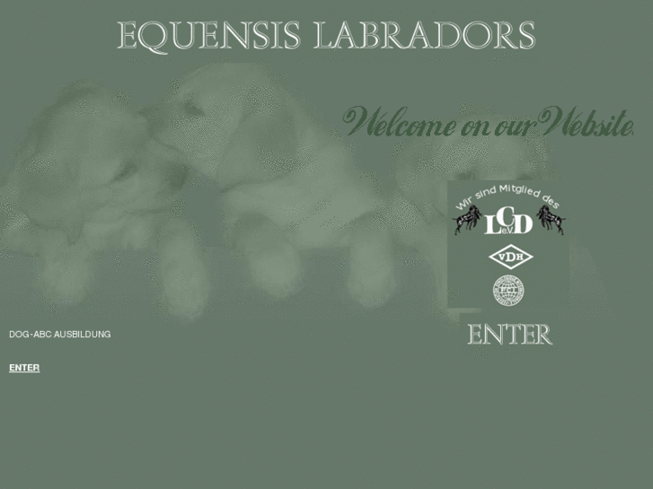 www.equensis.com