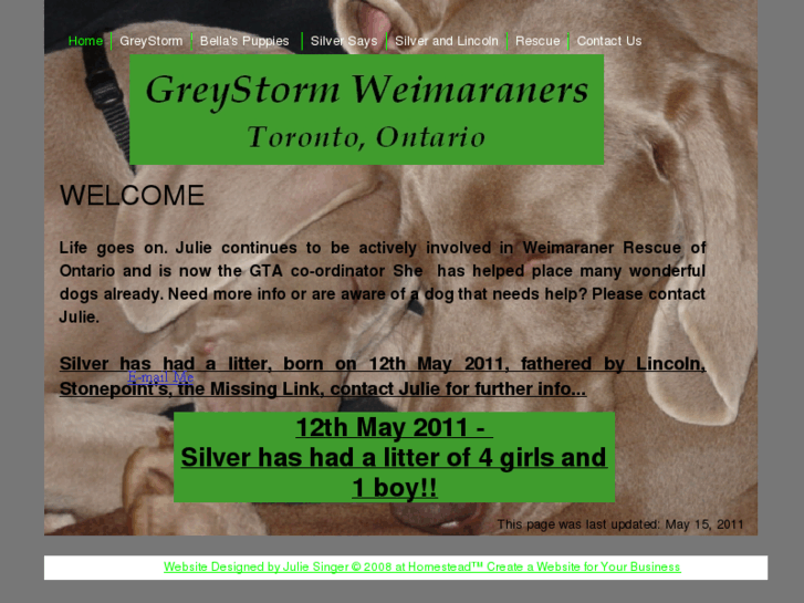 www.greystormweimaraners.com