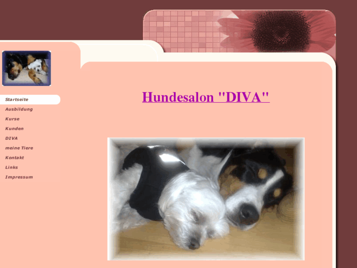 www.hundefriseurausbildung.com