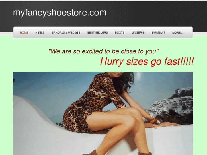 www.myfancyshoestore.com