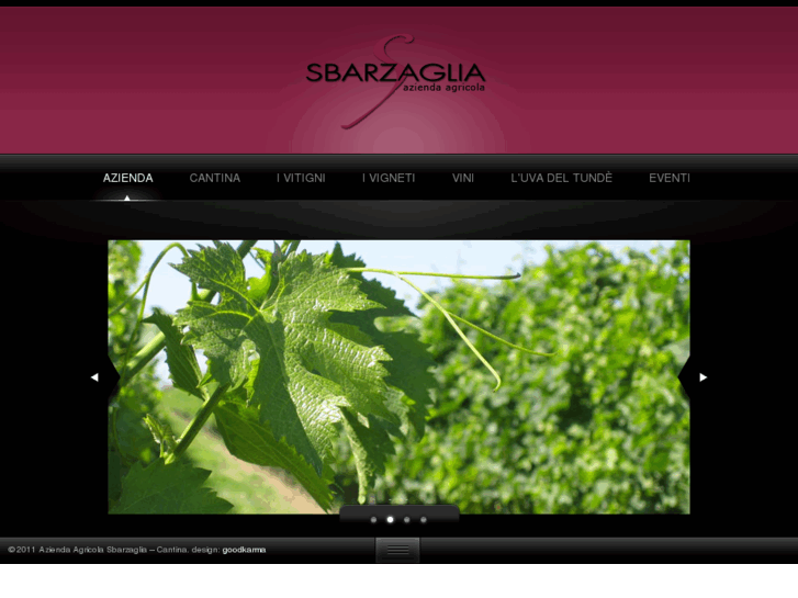 www.sbarzaglia.com